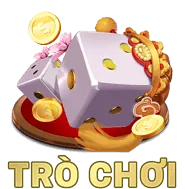 Biểu tượng quyền truy cập dữ liệu